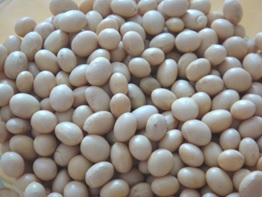 KACANG SOYA 300 GM