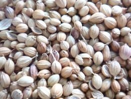 BIJI KETUMBAR 50 GM