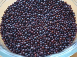 BIJI SAWI 50 GM