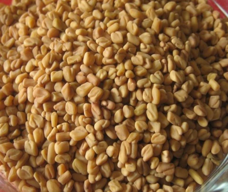 HALBA 50 GM